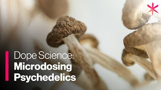 Microdosing Psychedelics [upl. by Schuyler698]