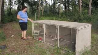 Chicken Coop Ideas A tour of Beckys chicken coop designs [upl. by Cristy90]