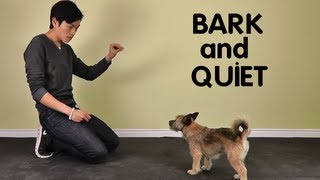 Teach Dog to Stop Barking  Bark and Quiet on Cue [upl. by Namilus]