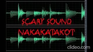 Sound Scary Static Noise 2 Nakakatakot [upl. by Toffic]