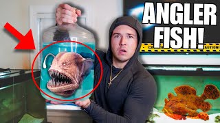 BUYING Creepy ANGLER FISH OFF THE WEB For My SALTWATER AQUARIUM [upl. by Cuhp]