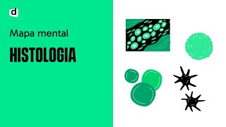 HISTOLOGIA UM SUPER MAPA MENTAL PARA O ENEM E VESTIBULARES [upl. by Rube]