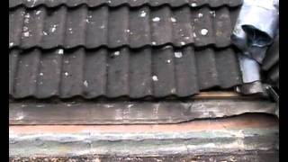 EPDM Rubber Roof DIY  FLAT ROOF  DIY  Felt Roof [upl. by Nrublim]