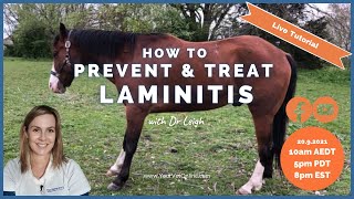 How To Prevent amp Treat Laminitis In Horses  Live Tutorial  Your Vet Online [upl. by Geis]