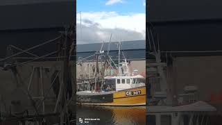 KILKEEL HARBOUR [upl. by Basil]