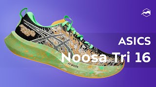 Кроссовки ASICS Noosa Tri 16 Обзор [upl. by Bliss]