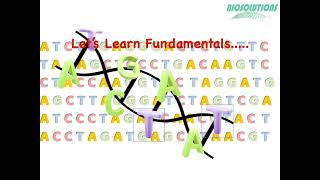 An Introduction to BioinformaticsGenomics Proteomics Metabolomics amp pharmacogenomics [upl. by Weed692]