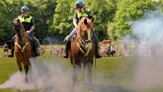 Politiepaarden  Demonstratie Paardenkamp Soest HD1080p [upl. by Elohc]