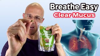 Breathe EasyChew on This for Clear Healthy Lungs Dr Mandell [upl. by Erdnaxela]