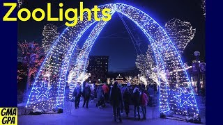 ZooLights Christmas Light Display At The Lincoln Park Zoo In Chicago  Lights Animals amp Carousel [upl. by Ardua]