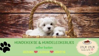 Hundekekse Selber Backen  Die gesündesten Rezepte für deinen Hund [upl. by Brosy]