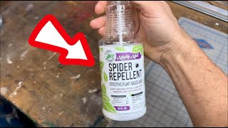 Peppermint Oil  Natural Spray for Spiders and Insects amazon find [upl. by Zorine638]