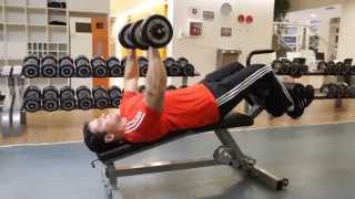 Decline Dumbbell Bench Press  Chest Exercise [upl. by Eibob149]