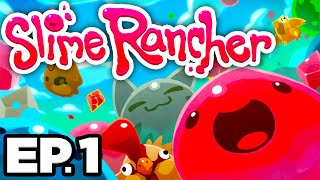 Let’s Speedrun 2 Player Slime Rancher with SmallAnt [upl. by Spatola956]