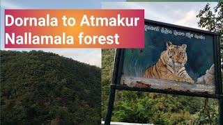 Dornala to Atmakur  Road journey by car  Radhadiaries [upl. by Verile]