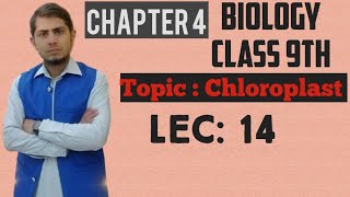 Chloroplast Explained  Class 9th Chp  4  Lec 14 [upl. by Godspeed]