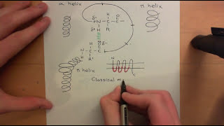 G Protein Coupled Receptors Part 2 [upl. by Dorsman460]