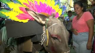 Festividad en Honor a San Francisco de Asís en Actopan Veracruz [upl. by Namhcan490]