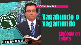 Cómo se dice quotVagabundoquot o quotvagamundoquot quotellos deben saberquot o quotellos deben de saberquot [upl. by Alletsyrc]