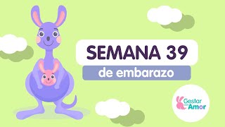 Semana 39 de embarazo [upl. by Yenruogis]