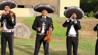 Por Amor a mi Padre  El Mariachi Tecalitlán [upl. by Malaspina24]