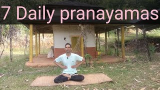 Daily Pranayamas For Beginners  yogaandfitnesswithshiva trending viralvideo yoga [upl. by Nowd642]