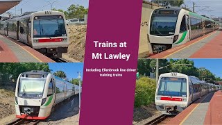 Trains at Mt Lawley Incl Ellenbrook line driver training trains [upl. by Aynuat762]