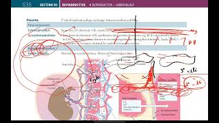 Placenta Amniotic fluid Umbilical Cord Fetal circulation  Reproductive  9  First Aid USMLE [upl. by Hoopes]