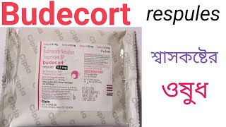 Budecort respules  Budesonide  Budecort respules Use  Dose  Side effects in Bengali [upl. by Emmery]