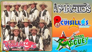 Pequeños Musical Cuisillos Machos Maguey  Banda Viejitas Pero Bonitas Romanticas del Recuerdo [upl. by Radman]