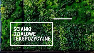 Ścianki działowe z roślin wiecznie żywych Greenlove Polska [upl. by Rooker]