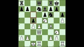 Anatoly Karpovs Best Chess Games Collection V1  Karpov vs Huebner 1982 [upl. by Center218]