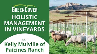 Holistic Management in Vineyards with Kelly Mulville of Paicines Ranch [upl. by Tamaru]