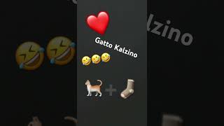 Gatto kalzino [upl. by Sheets]