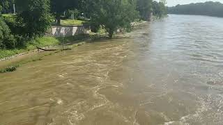 Hochwasser in Ulm an der Donau [upl. by Thayne]