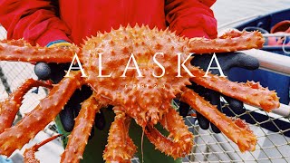 25 Alaska cruise vlog part 2  Ketchikan amp Juneau [upl. by Gausman]