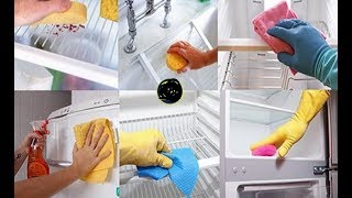 Summer Special FRIDGE CLEANING  HOW to Deep Clean Your Fridge [upl. by Lerred]