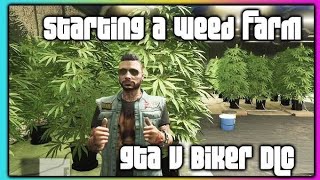 Gta5Onile weed farm how to buy amp full Setupweedfarmgat5 gta5 Gamingvishu [upl. by Bryn457]