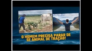 O HOMEM COMO ANIMAL DE TRAÇÃO E SUA DOMESTICAÇÃO DIANTE DAS EXIGÊNCIAS DE SUAS COMPANHEIRAS [upl. by Ahsenhoj]