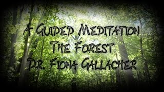 GUIDED VISUALIZATION  A WALK IN THE FOREST  DR FIONA GALLACHER [upl. by Celik]