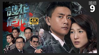 TVB Drama 護花危情 4K 60fps 920  鍾嘉欣子琳隱瞞 暗戀黃宗澤瑋琛  Witness Insecurity  黃宗澤 鍾嘉欣 秦沛 蔣志光 [upl. by Llerahc]