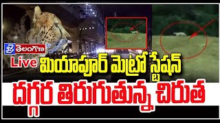 మెట్రో స్టేషన్‌లో చిరుత  Leopard at Miyapur Metro Station  jai telangana tv [upl. by Kellen568]