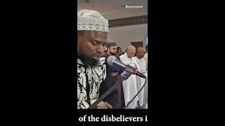 Best of Shaykh Okasha Kameny Quran Recitation [upl. by Anivlek543]