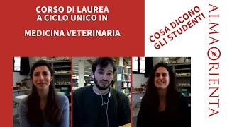 Laurea Magistrale a Ciclo Unico in Medicina Veterinaria  Cosa dicono gli studenti [upl. by Edualcnaej]