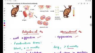 Polyclonal Vs Monoclonal antibodies [upl. by Hgielac]