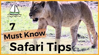 7 BEST AFRICAN SAFARI TIPS TanzaniaSerengeti Ngorongoro Crater Manyara Tarangire 33 [upl. by Ahsekad903]