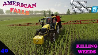 American Falls Ep 40 Taking care of some weeds Farm Sim 22 [upl. by Stacey935]