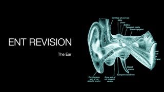 ENT Revision  The Ear [upl. by Lebasiram]