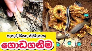 හතර මහා නිධානයක් ගොඩ ගැනීමTreasures sri lanka [upl. by Nirok]