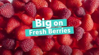 Big on Fresh Berries TV Advert  Lidl GB [upl. by Enowtna]